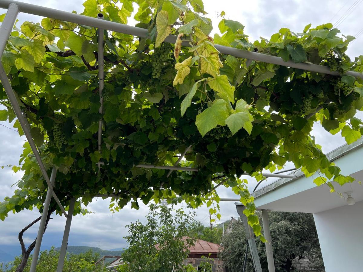 Arman Bed And Breakfast Halidzor Exterior photo