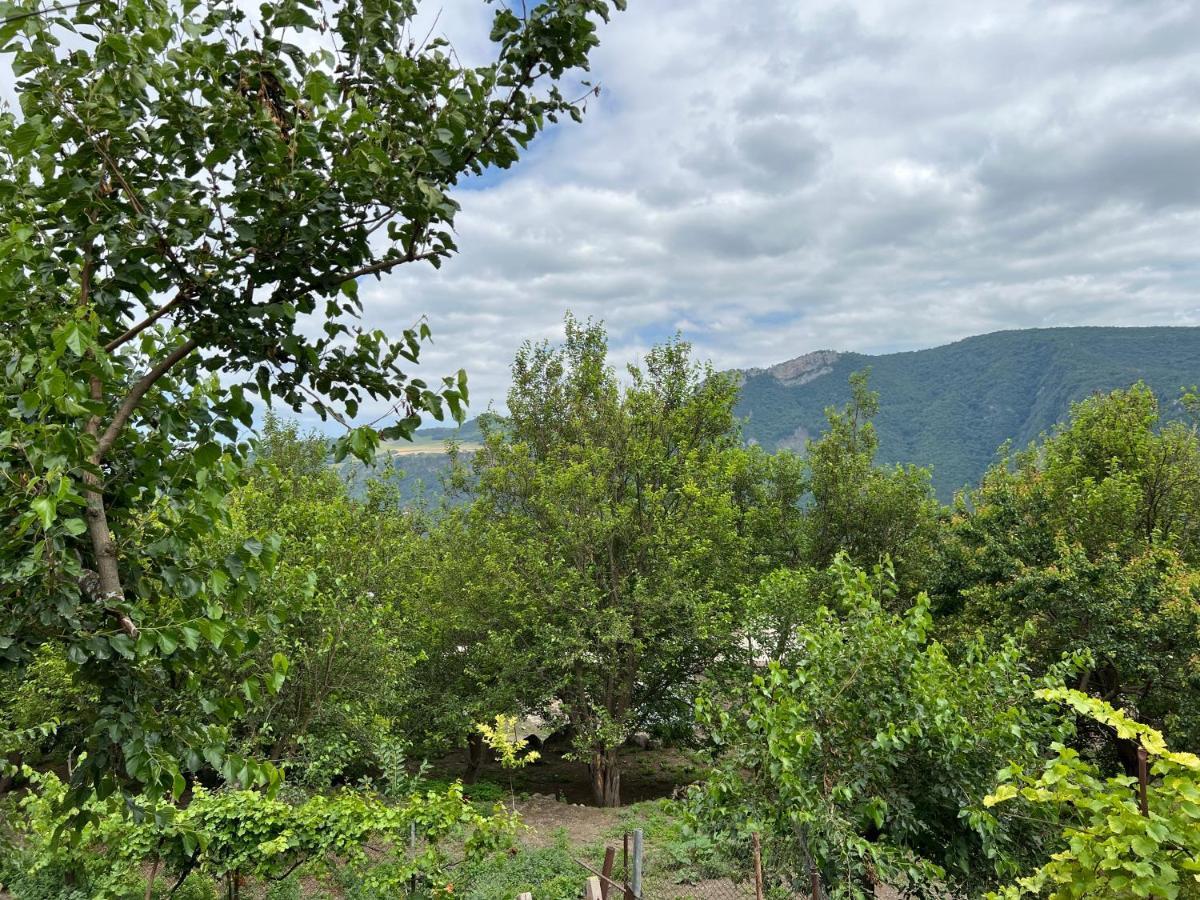 Arman Bed And Breakfast Halidzor Exterior photo